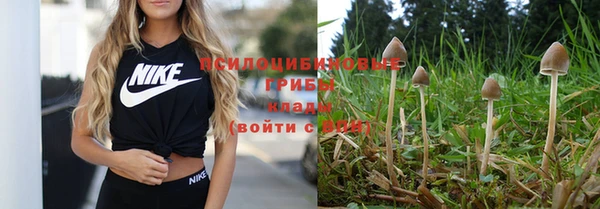 метадон Баксан