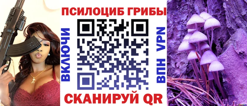 ссылка на мегу как зайти  Кондрово  Псилоцибиновые грибы прущие грибы  где найти наркотики 