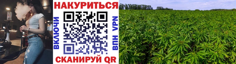 Бошки Шишки конопля Кондрово